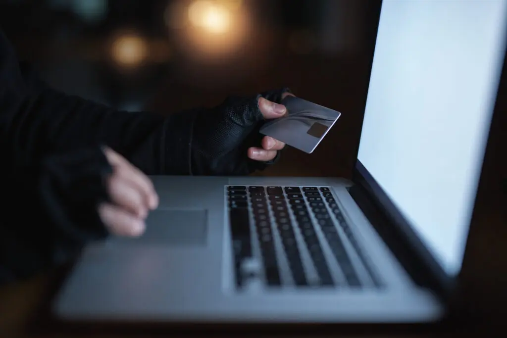 Following the Fraud: The Role of Money Mules